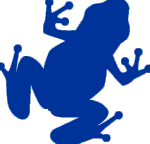 Blue Frog Web Services